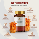 SIBA Cordyceps Mushroom Capsules – 1000mg Fruiting Body Extract