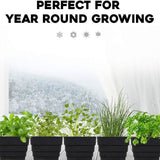 Windowsill Garden Herb Kit
