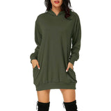 Women's Long Sleeve Hooded Pockets Pullover Hoodie Dress Tunic Sweatshirt