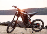 Freego X2 Off Road Dirt Electric Mountain Bike