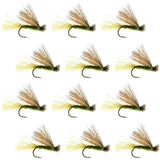 Olive X Caddis Emerging Caddis Adult Trout Dry Fly - 1 Dozen Flies Hook Size 16