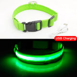 LED Dog Collar - Anti-Lost Rechargeable Safety Light-Up Collar for Night Walks