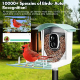 Solar-Powered Waterproof Bird Feeder with Camera