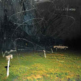 This Stupid World (2 Lp's) [Vinyl]
