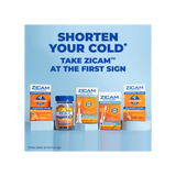 Zicam Zinc Cold Remedy RapidMelts, Quick Dissolve Tablets, Citrus, 25 ct